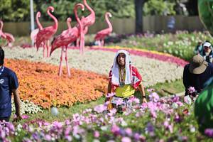 BIB: 
                            <button type="button" onclick="openModal(27793400)" class="btn btn-primary btn-sm float-right btn-popup" data-toggle="modal" data-target=".modal-high-quality">
                        <i class="fas fa-shopping-cart"></i> Add to Cart
                    </button>
                                            <button type="button" onclick="isThisMe(27793400, true)" class="btn btn-success btn-sm float-right btn-popup btn-isme hidden" data-toggle="tooltip" data-placement="bottom" title="นี่คือรูปของคุณใช่ไหม คลิกที่นี่เพื่อเอาเข้าอัลบั้ม">
                        <i class="fas fa-plus"></i> Add to album
                    </button>
                    <button type="button" onclick="isThisMe(27793400, false)" class="btn btn-warning btn-sm float-right btn-popup btn-isnotme hidden">
                        <i class="fas fa-ban"></i> Remove from album
                    </button>